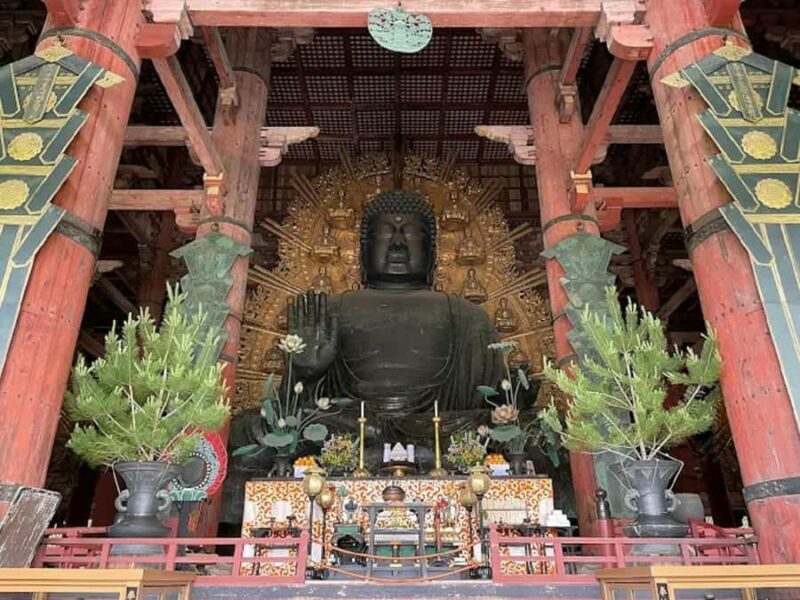 Osaka: Discovering Nara Timeless Grace Guided Tour - Who Should Consider This Tour?