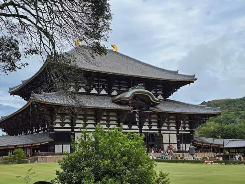 Osaka: Discovering Nara Timeless Grace Guided Tour - The Sum Up