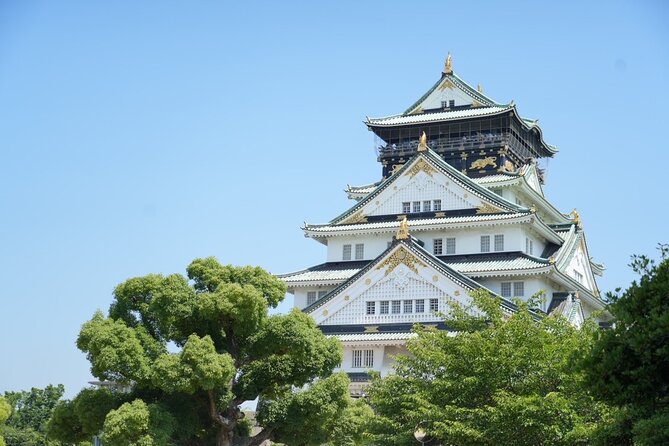 Osaka Early Bird Tour With English-Speaking Guide - Meeting and End Points