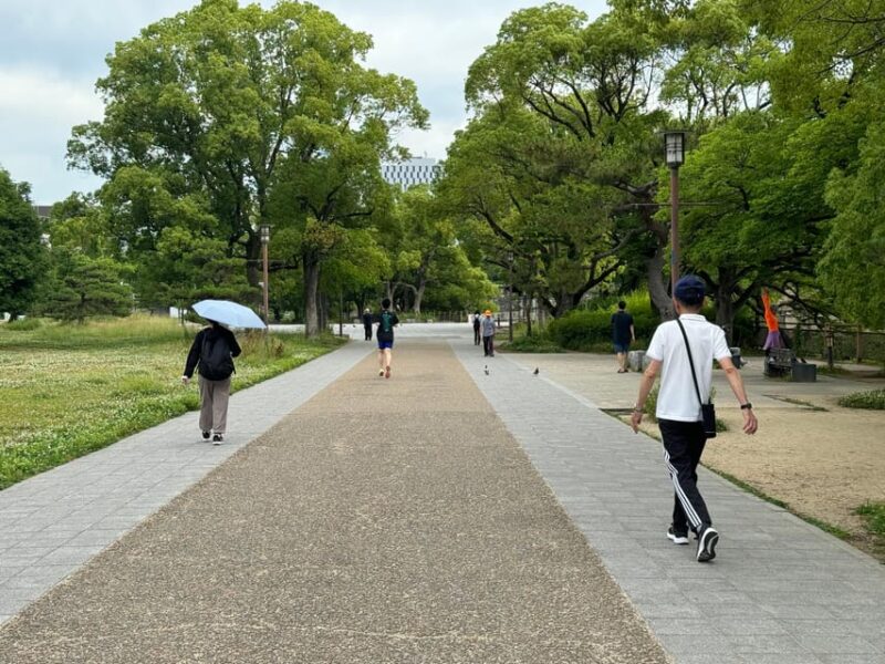 Osaka: Early Morning Osaka Castle Private Tour, Avoid Crowds - Customer Reviews and Ratings