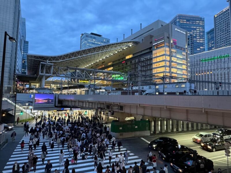 Osaka: Food & Bar Hopping Tour - Experience Features