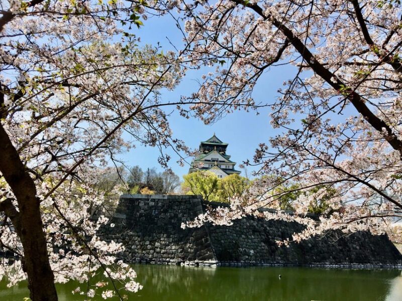 Osaka: Full-Day Private Guided Tour of the Historical City - Osaka Castle: Discovering a Symbol of Resilience
