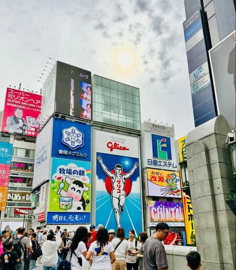 Osaka: Full-Day Sightseeing Guided Tour by Private Vehicle - Key Points