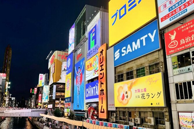 OSAKA: Full-Day Sightseeing Tour by Private Vehicle - Accessibility and Participation