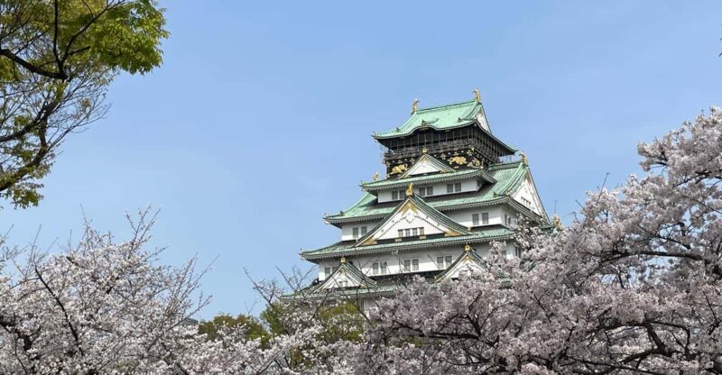 Osaka: Guided Tour of Osaka Castle Park in 90 Minutes - Accessibility and Group Size