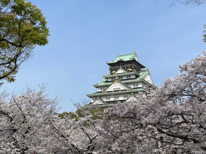 Osaka: Guided Tour of Osaka Castle Park in 90 Minutes - Inclusions and Exclusions
