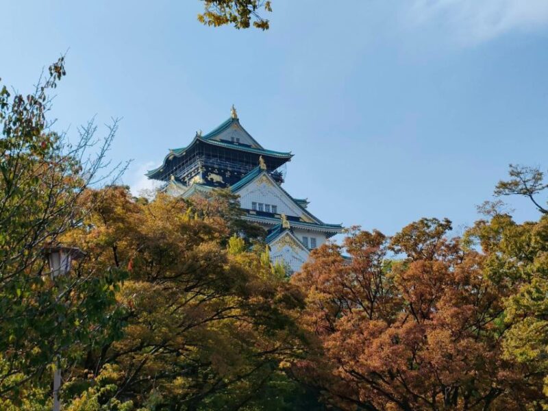 Osaka: Guided Walking Tour to Castle, Shinsekai, & Dotonbori - Key Points