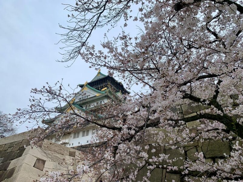 Osaka: Guided Walking Tour With a Native Expert – Top Sights - Taking in Namba Districts Vibrance