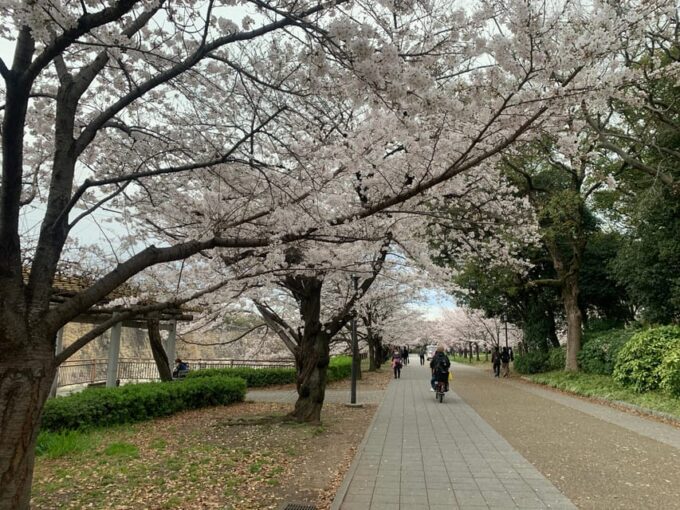 Osaka: Guided Walking Tour With a Native Expert – Top Sights - Small Group Size and Exclusivity