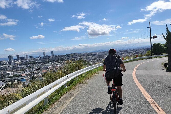 Osaka Half-day E-bike Adventure: Minoh Falls & Katsuoji Temple - Key Points