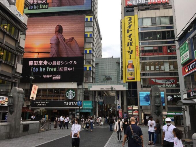 Osaka: Half-Day Private Guided Tour of Minami Modern City - Namba Yasaka Shrine Visit