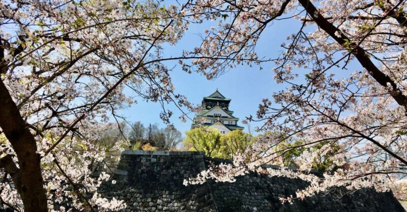 Osaka: Half-Day Private Guided Tour of the Castle - Guided Tour of Miraiza Osaka-Jo