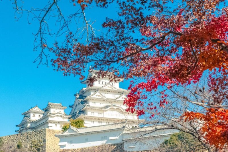 Osaka: Himeji Castle, Koko-en, Arima and Mt. Rokko Day Trip - Key Points