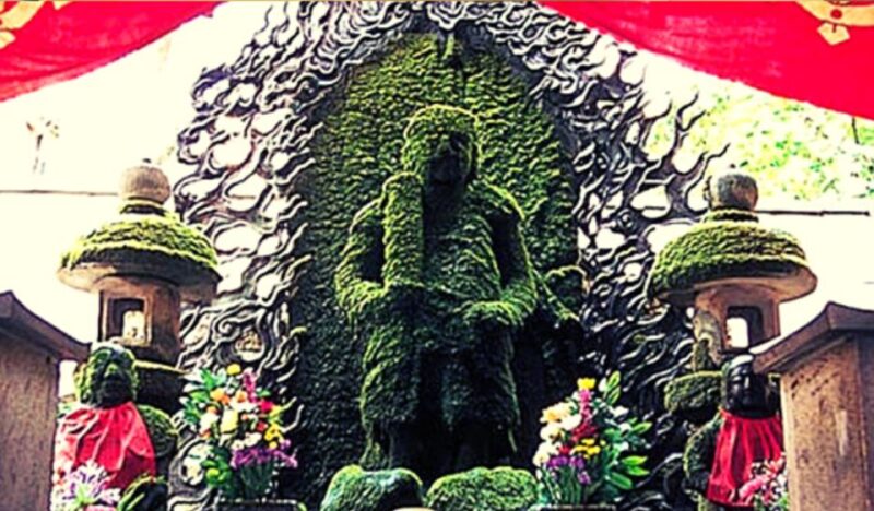 Osaka: Hotspots and Hidden Gems Guided Walking Tour - Exclusions