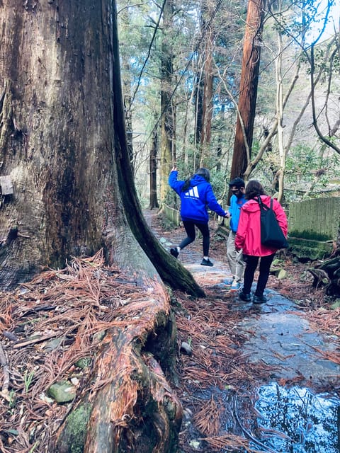 Osaka Izumisano: Mt. Inunaki Trekking and Hot Springs - Itinerary Highlights