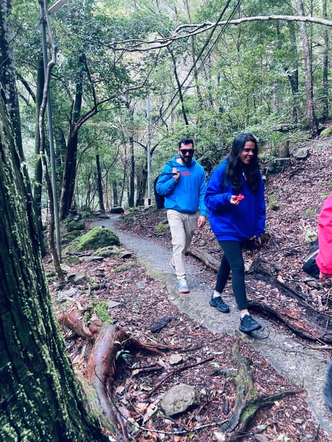 Osaka Izumisano: Mt. Inunaki Trekking and Hot Springs - Hiking Mt. Inunaki