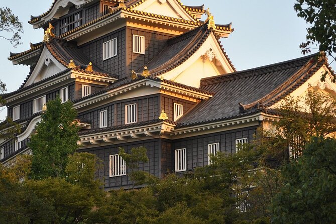 Osaka Kansai Airport to Okayama City Private Transfer - Accessibility and Assistance