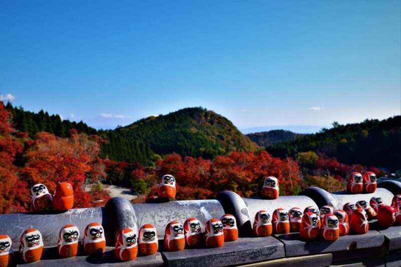 Osaka: Katsuo-ji Temple Autumn Leaves Guided Tour - Temple Experience and Highlights