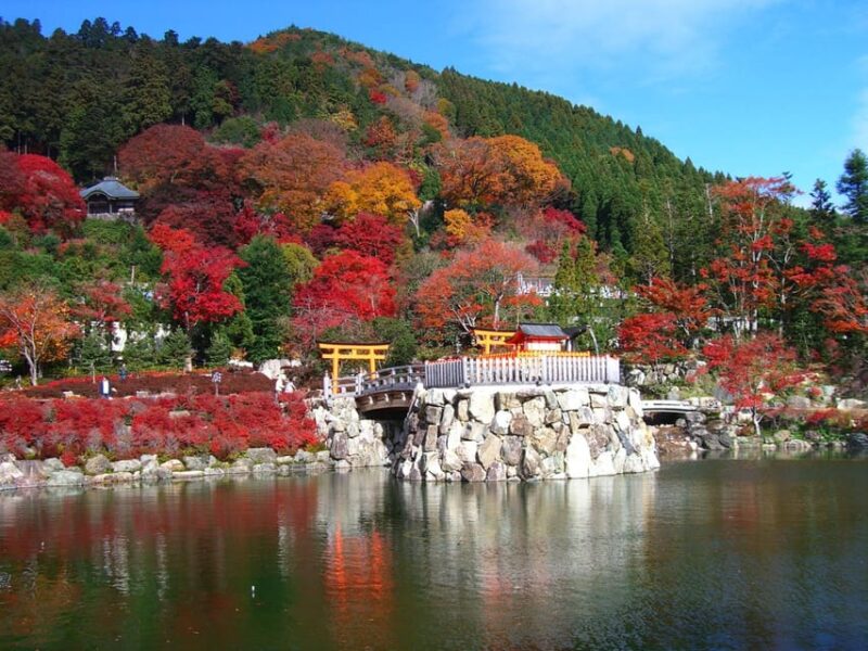 Osaka: Katsuo-ji Temple Autumn Leaves Guided Tour - Visitor Information and Recommendations