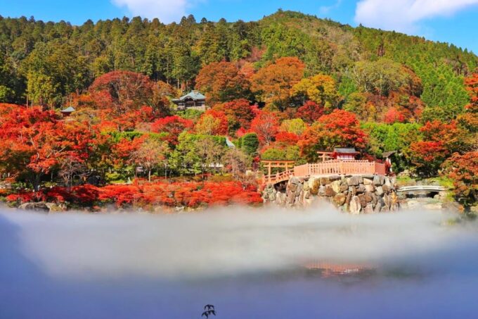Osaka: Katsuo-ji Temple Autumn Leaves Guided Tour - FAQ