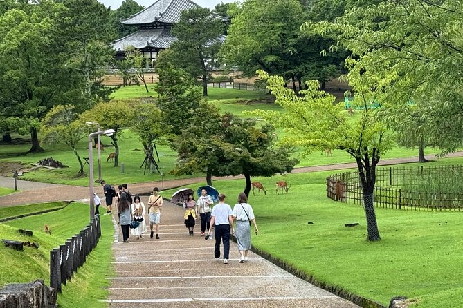Osaka/Kyoto and Nara Private Tour With English Speaking Guide - Customer Testimonials