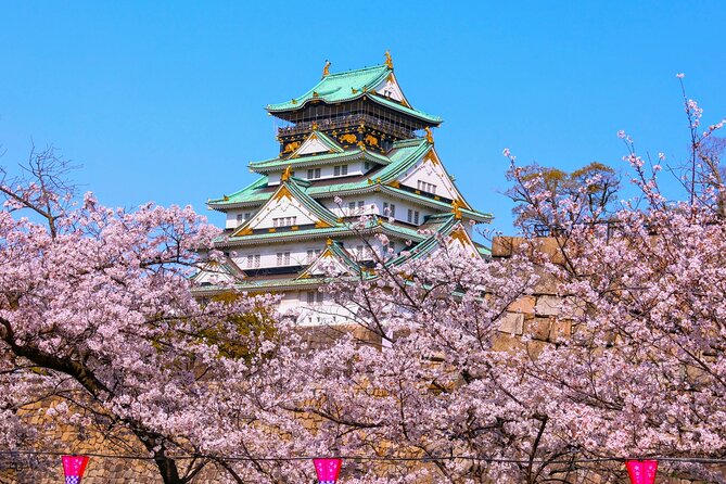 Osaka Kyoto Customize Private Charter Car - Key Points
