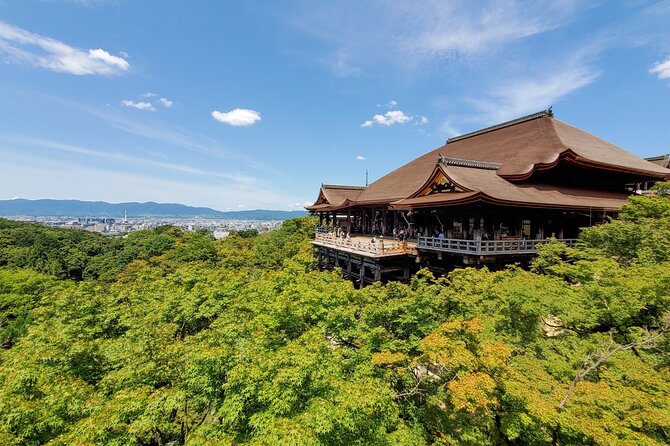 Osaka Kyoto Customize Private Charter Car - Vehicle Accessibility