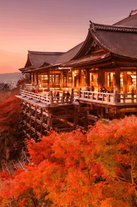 Osaka: Kyoto Kiyomizudera & Nara Deer Sighting Day Trip - Important Information and Restrictions