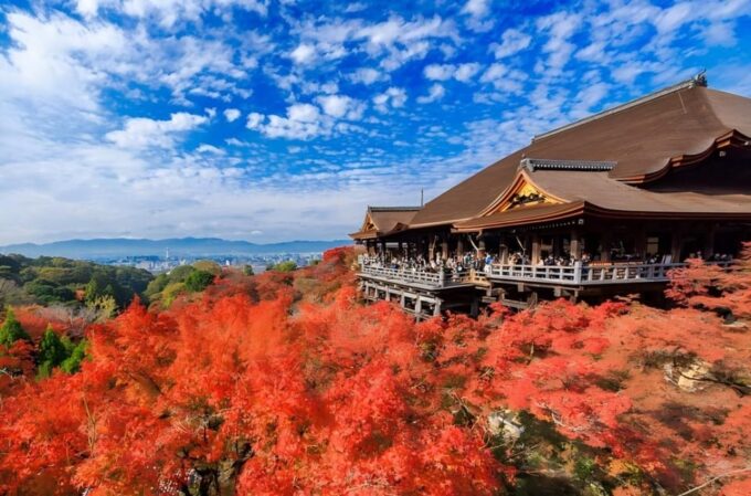 Osaka/Kyoto: Kyoto and Uji UNESCO Word Heritages Bus Tour - Frequently Asked Questions