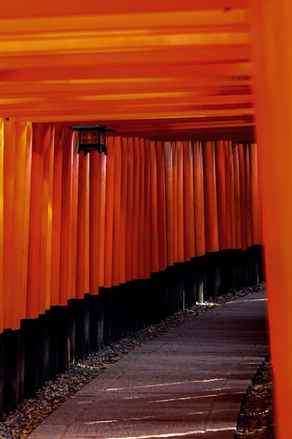 Osaka: Kyoto, Nara, Fushimi Inari Shrine, Arashiyama Tour - Key Points