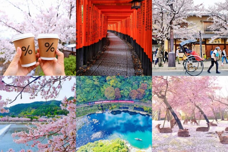 OSAKA-KYOTO-NARA Highlight Customized Trip With Hotel Pickup - Key Points