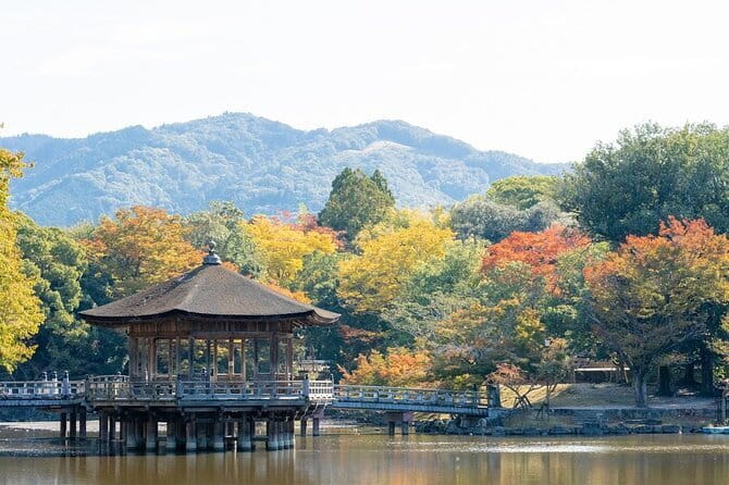 Osaka & Kyoto & Nara Top Hightlights English Speaking Tour - Transportation and Logistics