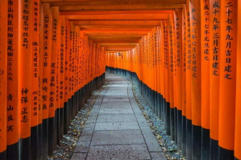 Osaka: Kyoto & Nara & Uji Historical and Scenic One-Day Tour - Key Points