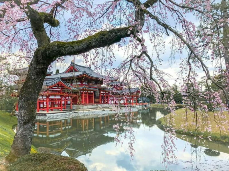 Osaka: Kyoto & Nara & Uji Historical and Scenic One-Day Tour - Practicalities and What to Expect