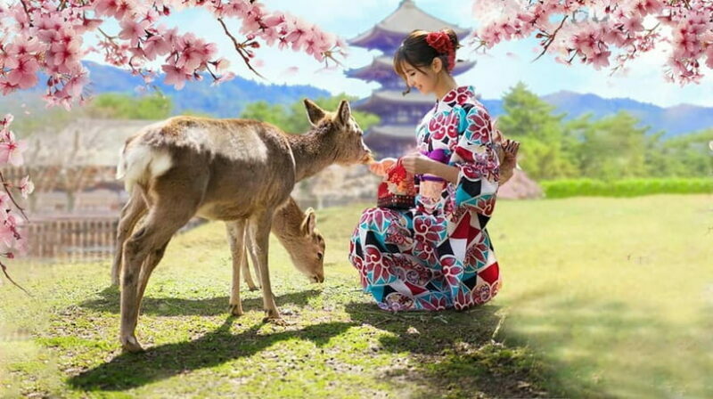 Osaka: Kyoto & Nara & Uji Historical and Scenic One-Day Tour - The Sum Up