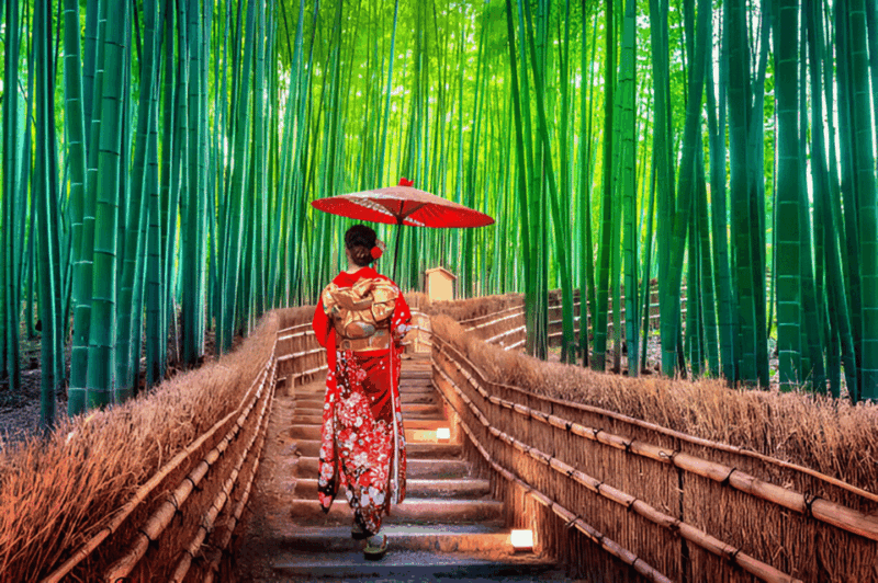 Osaka/Kyoto: Private Kyoto and Nara Day Trip - Key Points