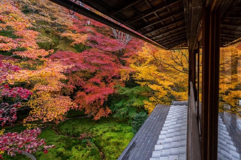 Osaka/Kyoto: Sanzenin, Arashiyama Train, Bamboo Forest Tour - Key Points