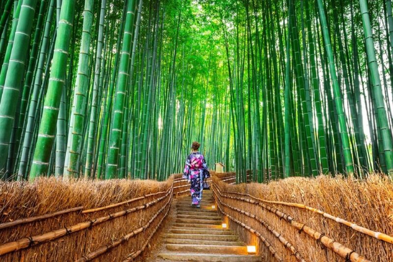 Osaka/Kyoto: Sanzenin, Arashiyama Train, Bamboo Forest Tour - Sanzen-in Temple Experience