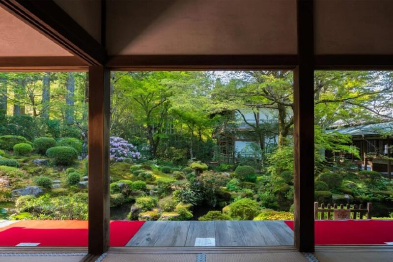 Osaka/Kyoto: Sanzenin, Arashiyama Train, Bamboo Forest Tour - Arashiyama Exploration