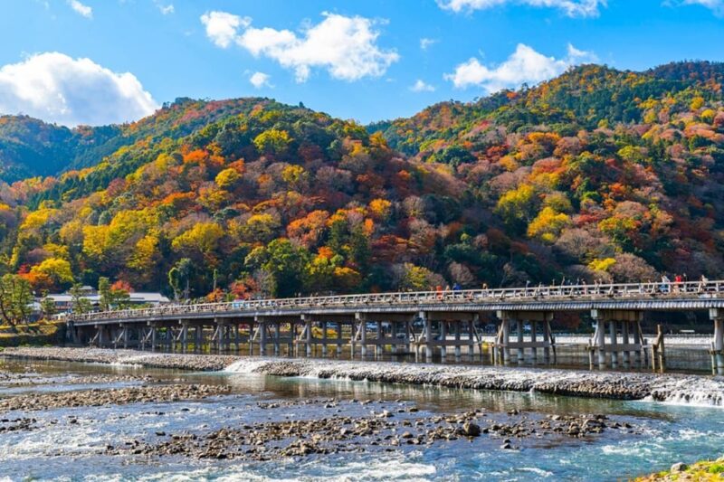 Osaka/Kyoto: Sanzenin, Arashiyama Train, Bamboo Forest Tour - Pre-Trip Communication