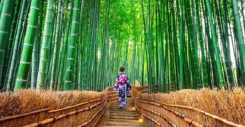 Osaka/Kyoto: Sanzenin, Arashiyama Train, Bamboo Forest Trip - Sanzen-in Temple Visit