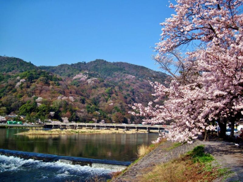 Osaka: Kyoto Scenic Day & Night Bus Tour W/ Kobe Beef - Discovering Historic Districts in Kyoto