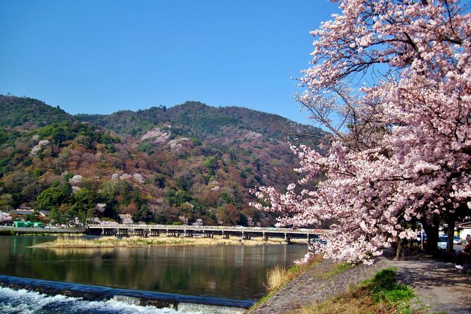 Osaka: Kyoto Scenic Day & Night Bus Tour With Dinner (Kobe Beef) - Tour Conditions
