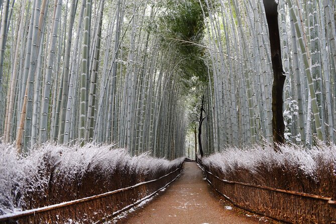 Osaka: Kyoto Scenic Day & Night Bus Tour With Dinner (Kobe Beef) - Scenic Night Bus Tour