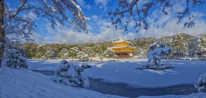 Osaka Kyoto Transfer:10 Hours English Driver - Pricing and Booking