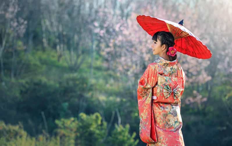 Osaka Kyoto Transfer:10 Hours English Driver - Pickup and Drop-off