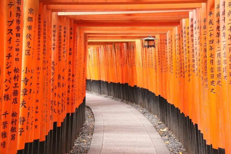 Osaka Kyoto Transfer:10 Hours English Driver - Not Included Services