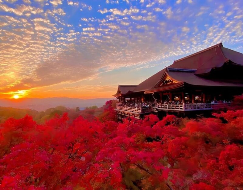 Osaka: Kyoto & Uji 1-Day Tour With Buy-One-Get-One-Free! - Discovering the Birthplace of Matcha