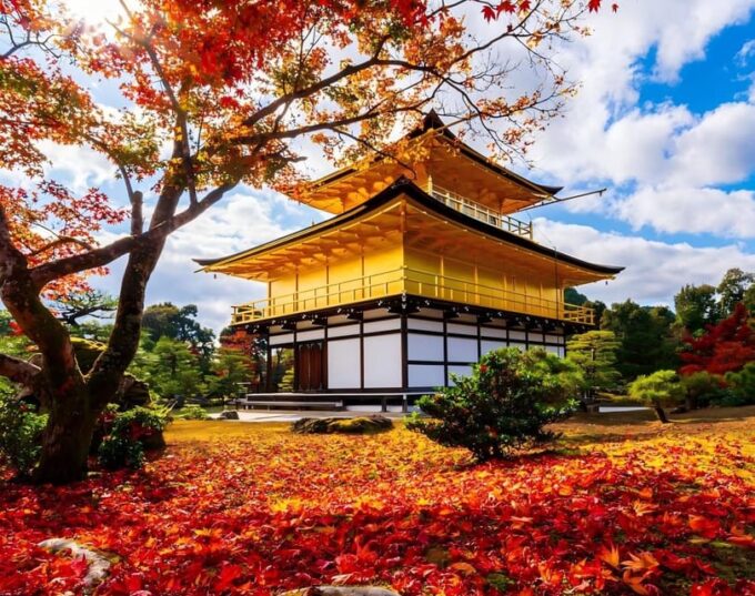 Osaka: Kyoto & Uji 1-Day Tour With Buy-One-Get-One-Free! - Delighted Customer Testimonials