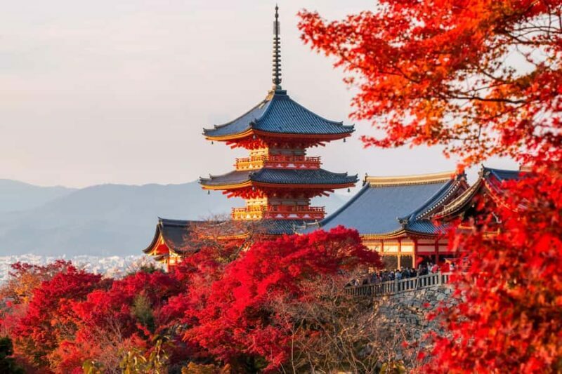 Osaka: Kyoto & Uji Tour, Kinkakuji, Kiyomizudera, Byodo-in - A Closer Look at the Itinerary
